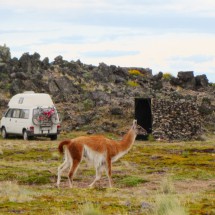 The free of charge campground in the Pali Aike National Park